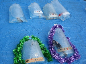 20081116 253-300.jpg